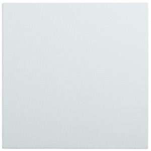 Agent insight, instinct, imagination, invisibility