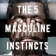 5 Masculine Instincts book cover example of book launches