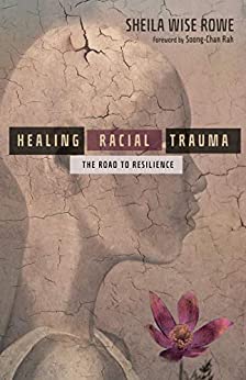 Healing Racial Trauma by Sheila Wise Rowe