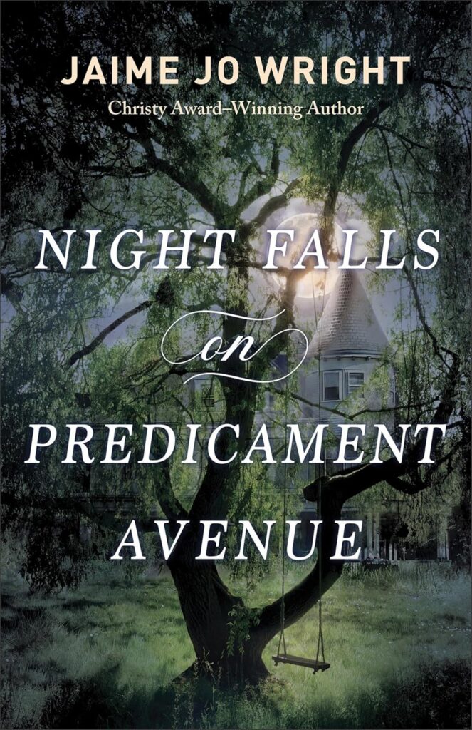 Night Falls on Predicament Avenue Jamie Jo Wright