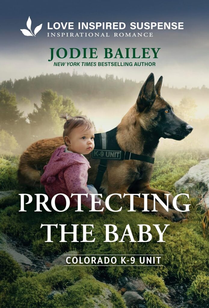 Protecting the Baby by Jodie Bailey