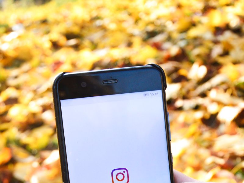 Close-up of a hand holding a smartphone displaying the Instagram logo over fallen leaves.